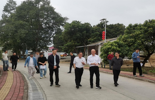 范利輝帶隊到卅嶺農(nóng)場進行項目規(guī)劃建設調研.png